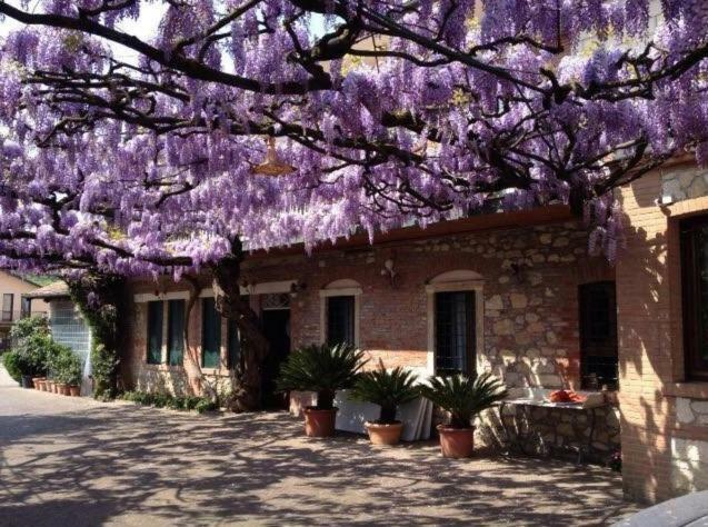 Hotel Trattoria Lovise Costabissara
